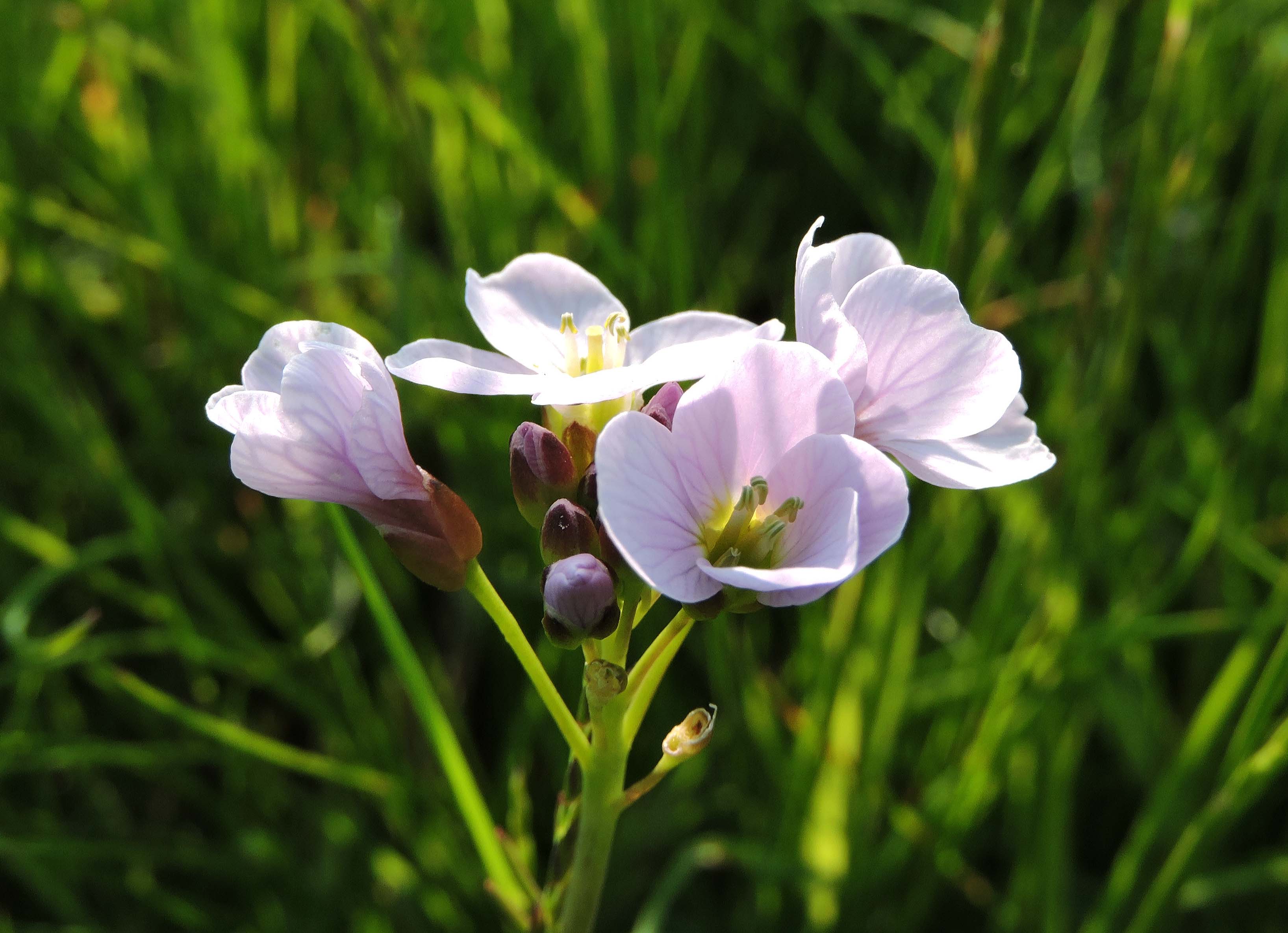 SMALL IS BEAUTIFUL Bill Bagley Photography